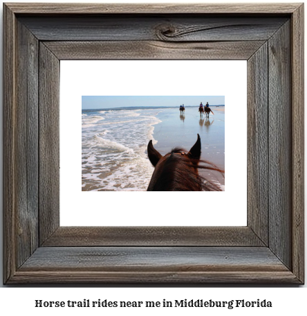 horse trail rides near me in Middleburg, Florida